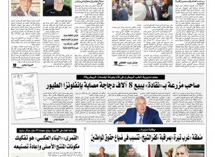 أمي.. كلمتان في الحب.. بقلم السيد شحاتة